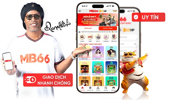 Định vị thương hiệu Zalv Link