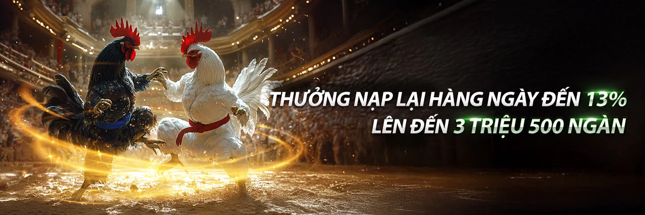 Đá gà trực tuyến Zalv link với các chiến kê dũng mãnh
